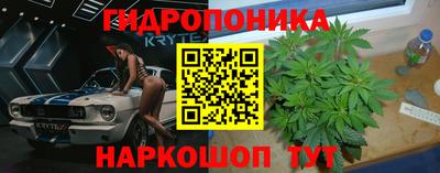 spice Мариинск