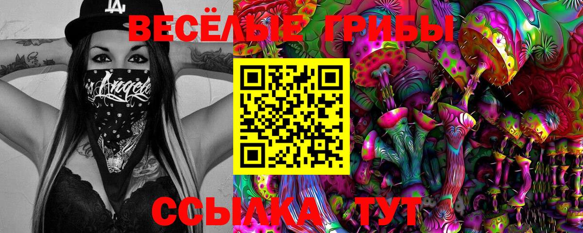Псилоцибиновые грибы GOLDEN TEACHER  Галлюциногенные грибы прущие грибы  Воскресенск  Вход с VPN 